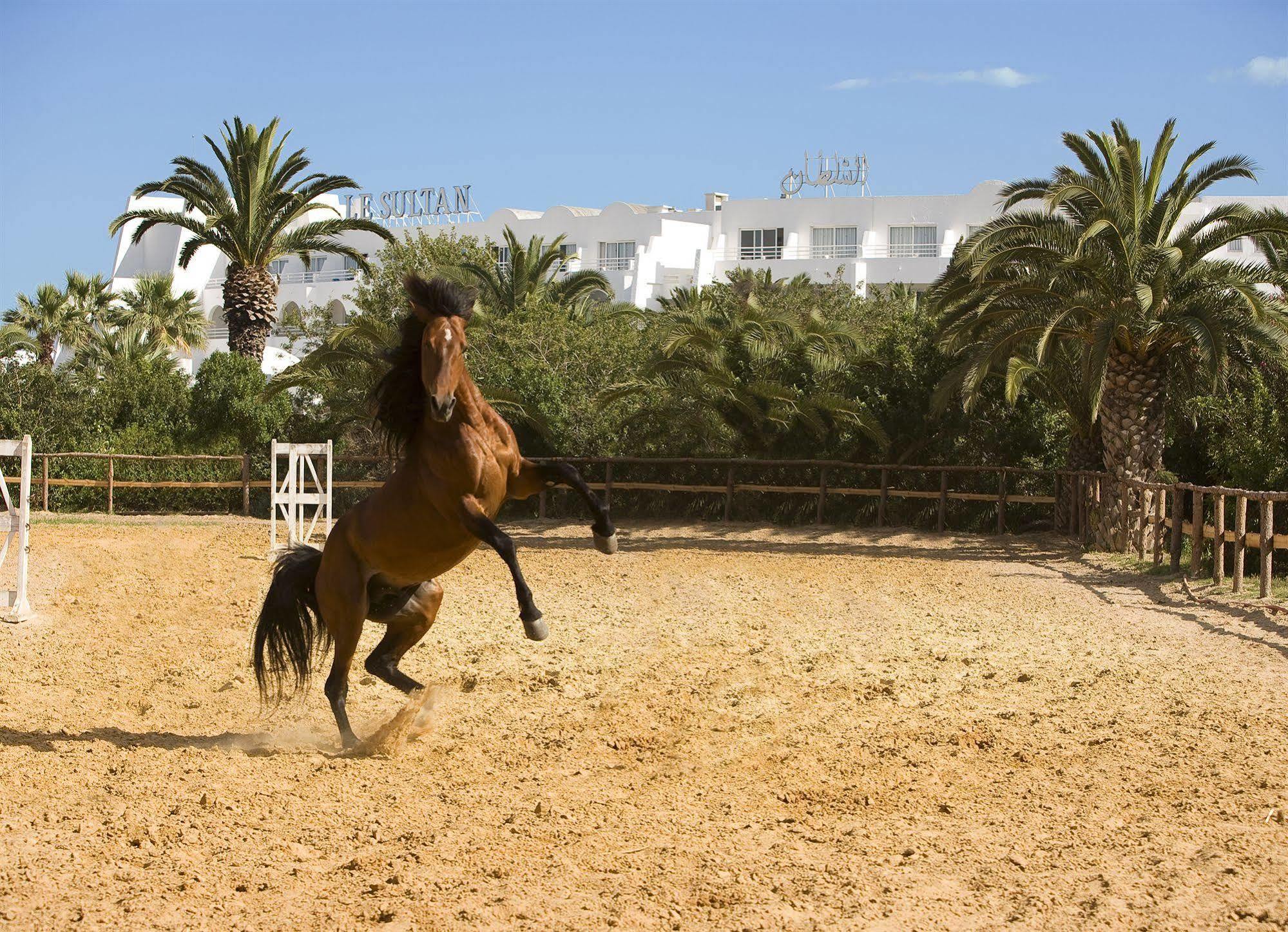 Le Sultan Hotel Hammamet Exterior photo